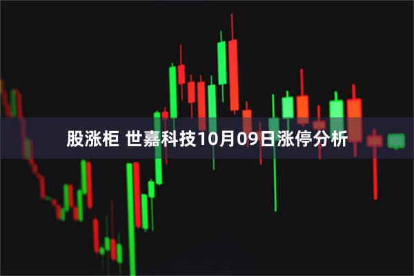 股涨柜 世嘉科技10月09日涨停分析