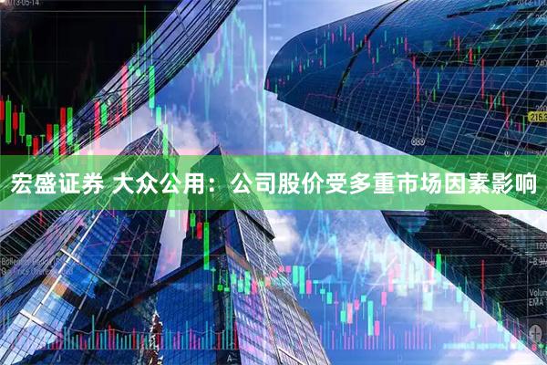 宏盛证券 大众公用：公司股价受多重市场因素影响